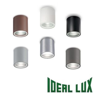 Plafoniera da esterno GUN di IDEAL LUX